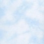 SS-SummerSky-Wichelt